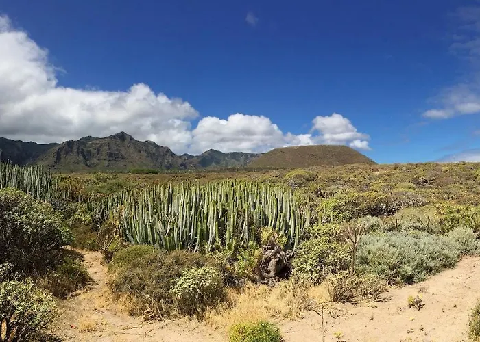 Home2book Rustic Stone Haven With Terrace La Guancha